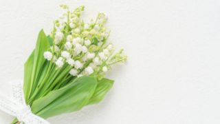 誕生日・誕生花についてのお話